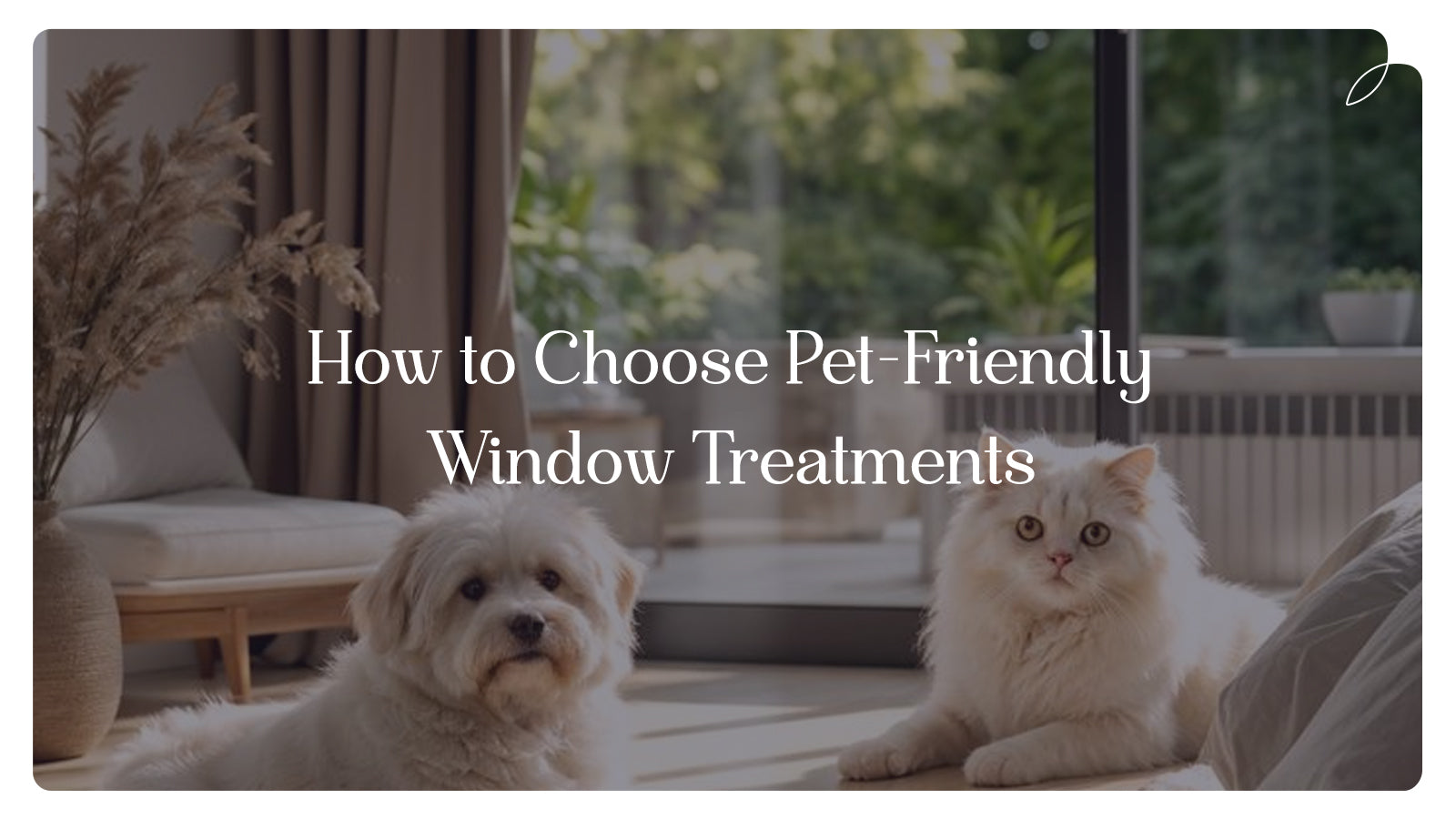 How to Choose Pet-Friendly Window Treatments