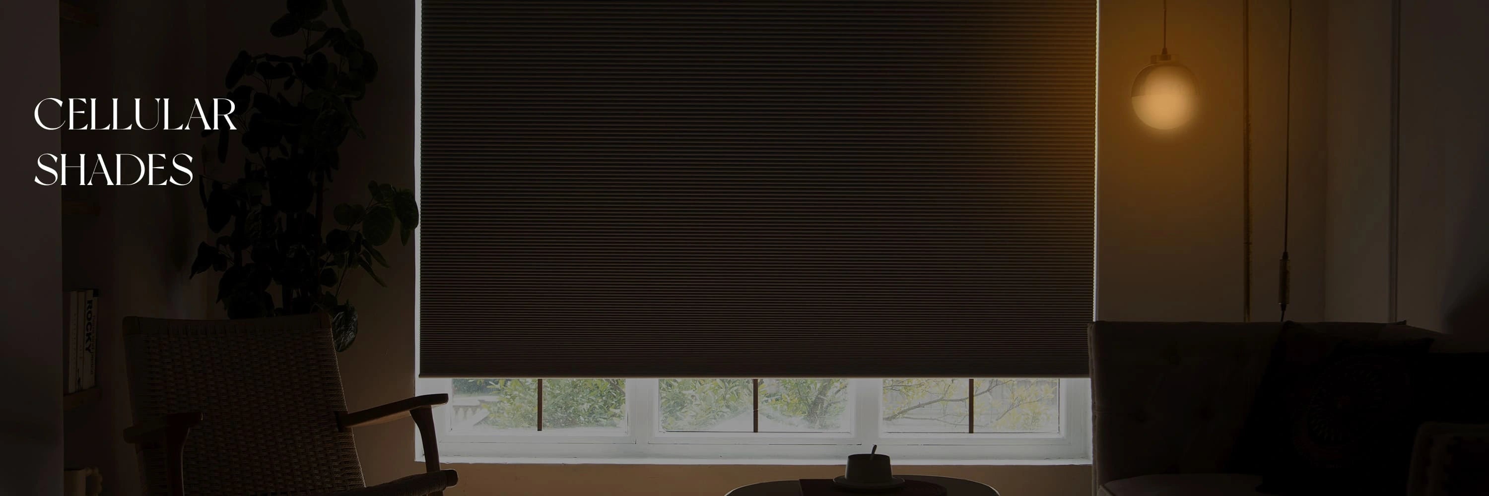 Window with cellular shades partially drawn, showing a modern interior setting.