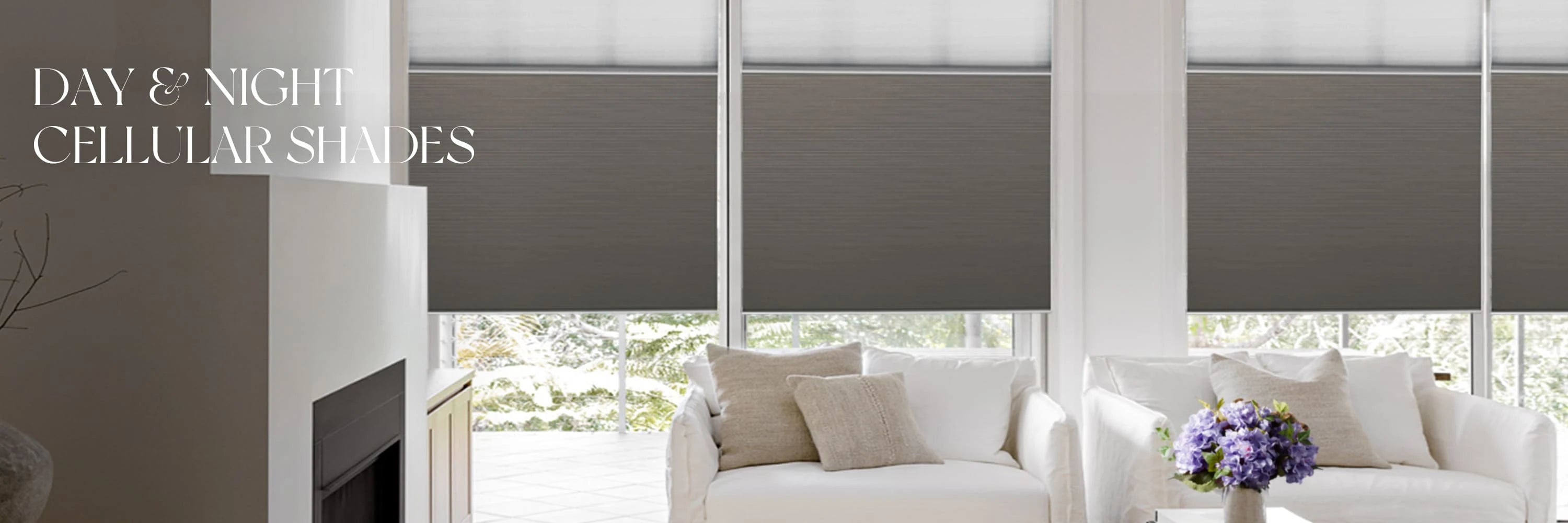 Day & Night Cellular Shades in a living room setting with a couch.