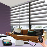 Graywind Motorized Zebra Sheer Blinds | Design Series | Customizable