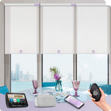 Graywind Motorized Solar Roller Shades | 1%-5% Openness | Customizable