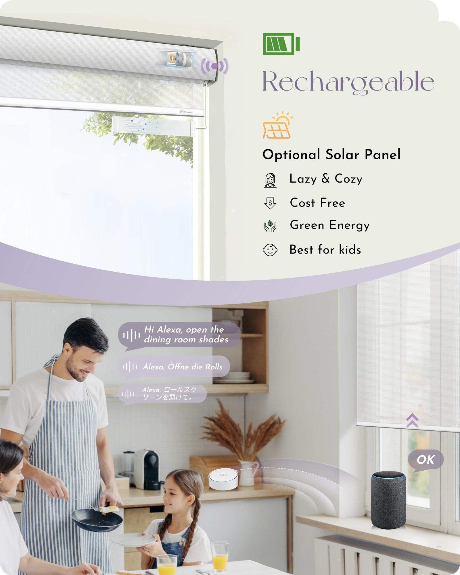 Graywind Motorized Light Filtering Roller Shades | Sheer Series | Customizable