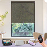 Graywind Motorized Solar Roller Shades | 1%-5% Openness | Customizable