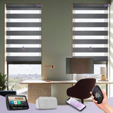 Graywind Motorized Zebra Sheer Blinds | Design Series | Customizable