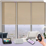 Graywind Motorized Light Filtering Roller Shades | Woven Series | Customizable