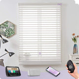 Graywind Motorized Shangrila Shades | Wide Series | Customizable