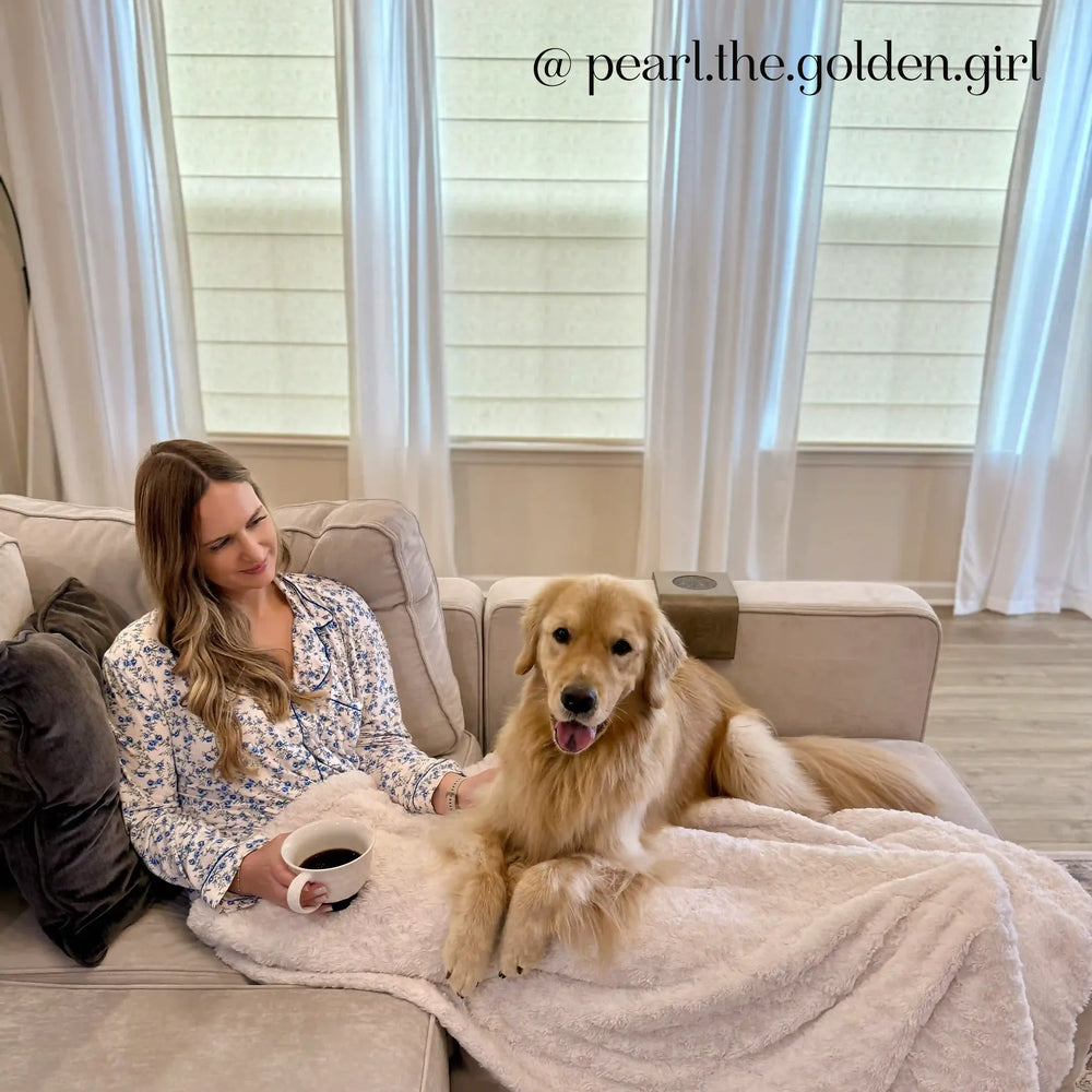 Woman sitting on a couch with a golden retriever dog, holding a mug, in a bright living room with curtains.