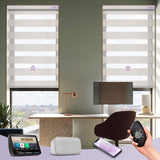 Graywind Motorized Zebra Sheer Blinds | Design Series | Customizable