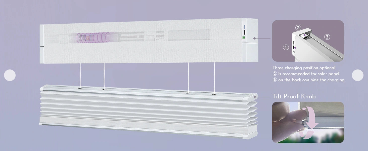 Structure of valance and bar