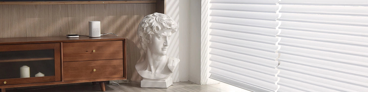 Horizontal Sheer Shades