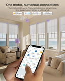 matter motor support different smart systems