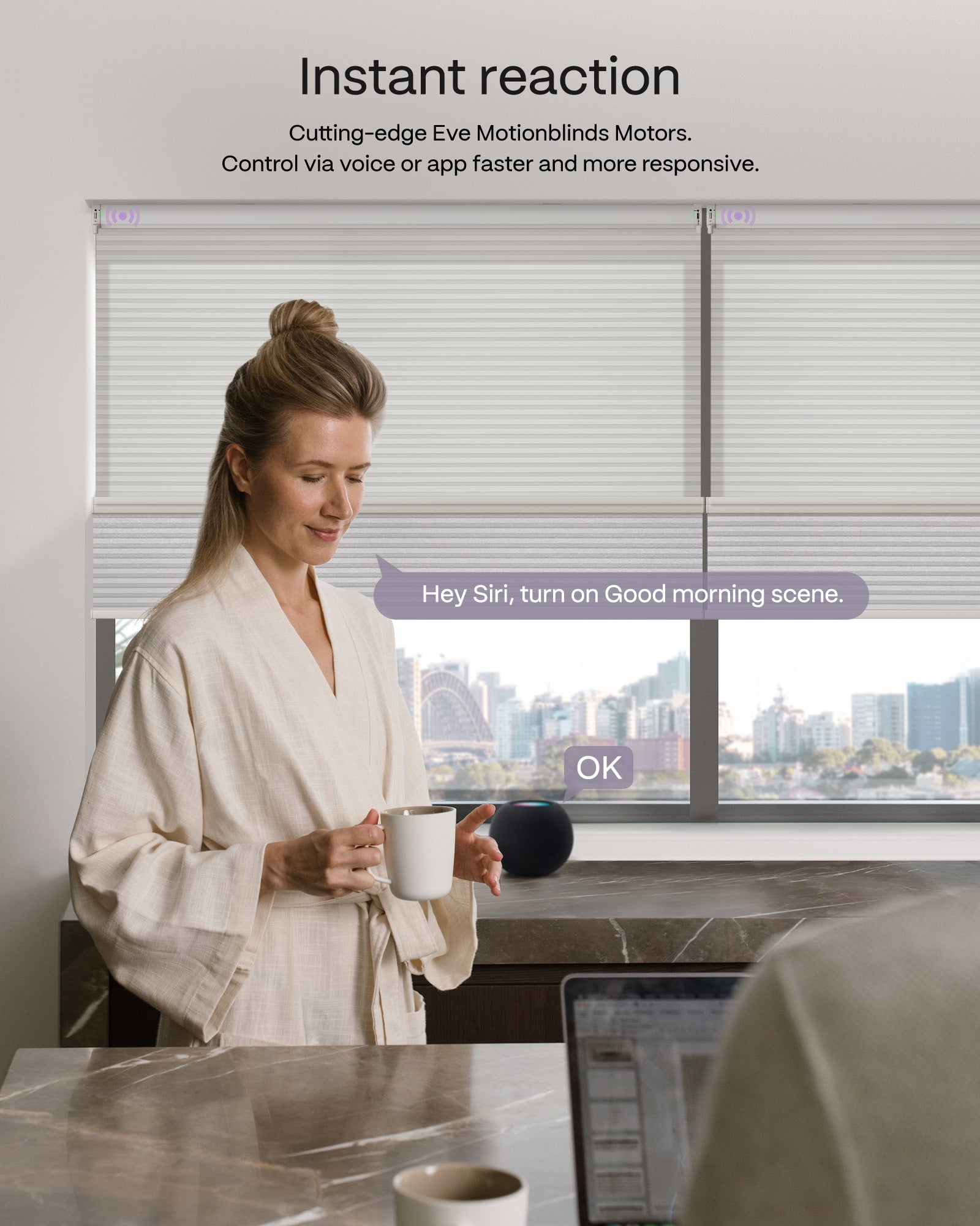 Control coulisse day night cellular shades through voice