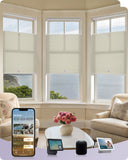 coulisse top down bottom up celluar dimout pearl beige color