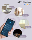 Graywind Motorized Day and Night Cellular Shades | Blackout Series | Customizable