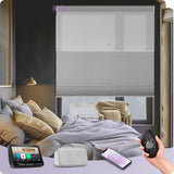 Graywind Motorized Day and Night Cellular Shades | Blackout Series | Customizable