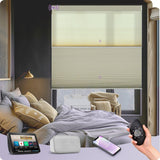 Graywind Motorized Day and Night Cellular Shades | Blackout Series | Customizable