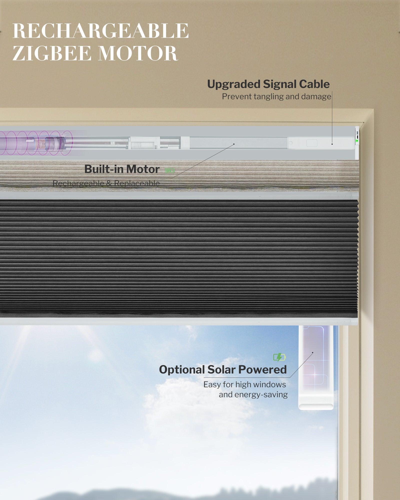 Graywind Motorized Day and Night Cellular Shades | Blackout Series | Customizable