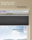 Graywind Motorized Day and Night Cellular Shades | Blackout Series | Customizable