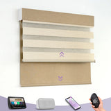 Graywind Motorized Dual Shades | Double Zebra Shades | Customizable