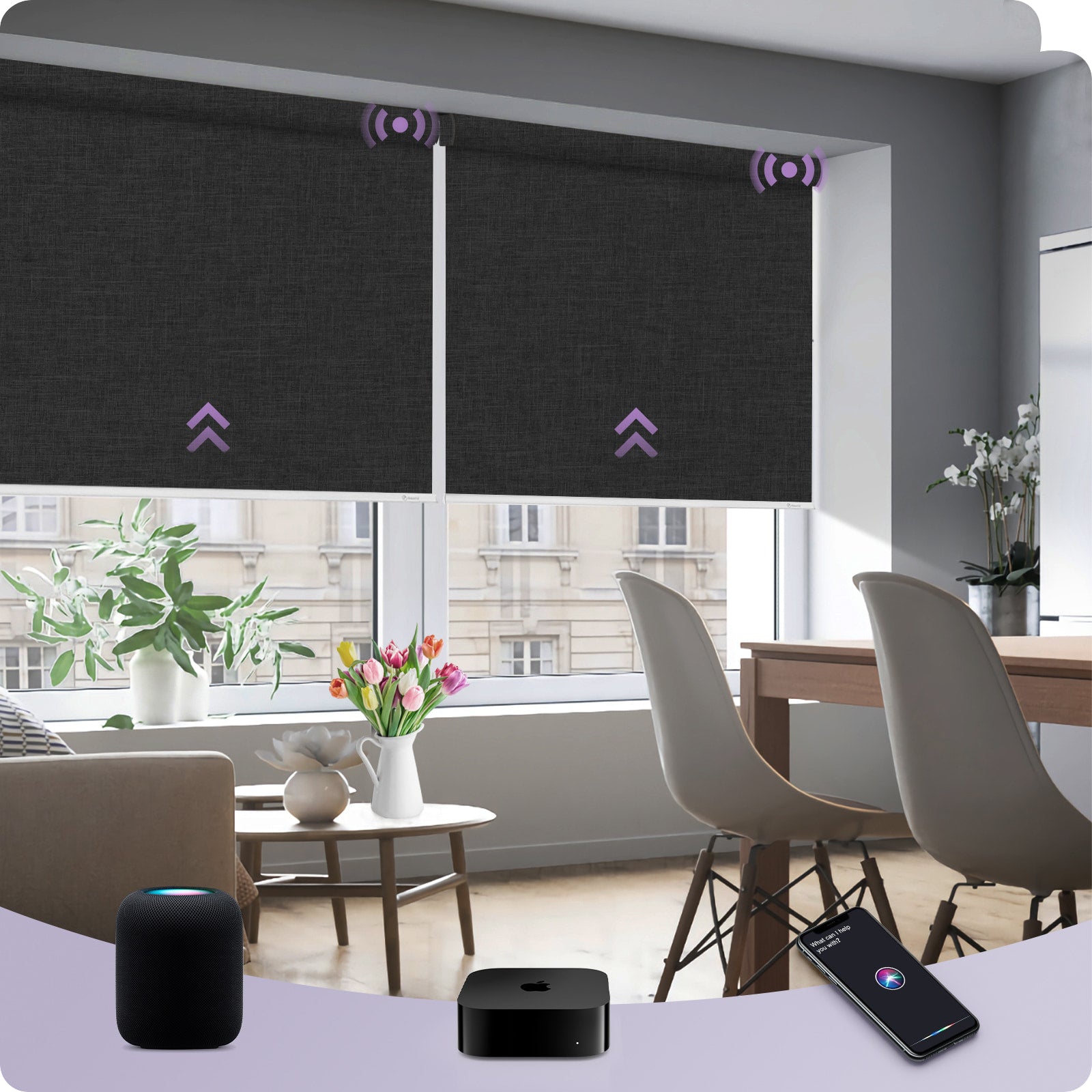 Graywind Smart EVE-HomeKit Motorized Roller Shades
