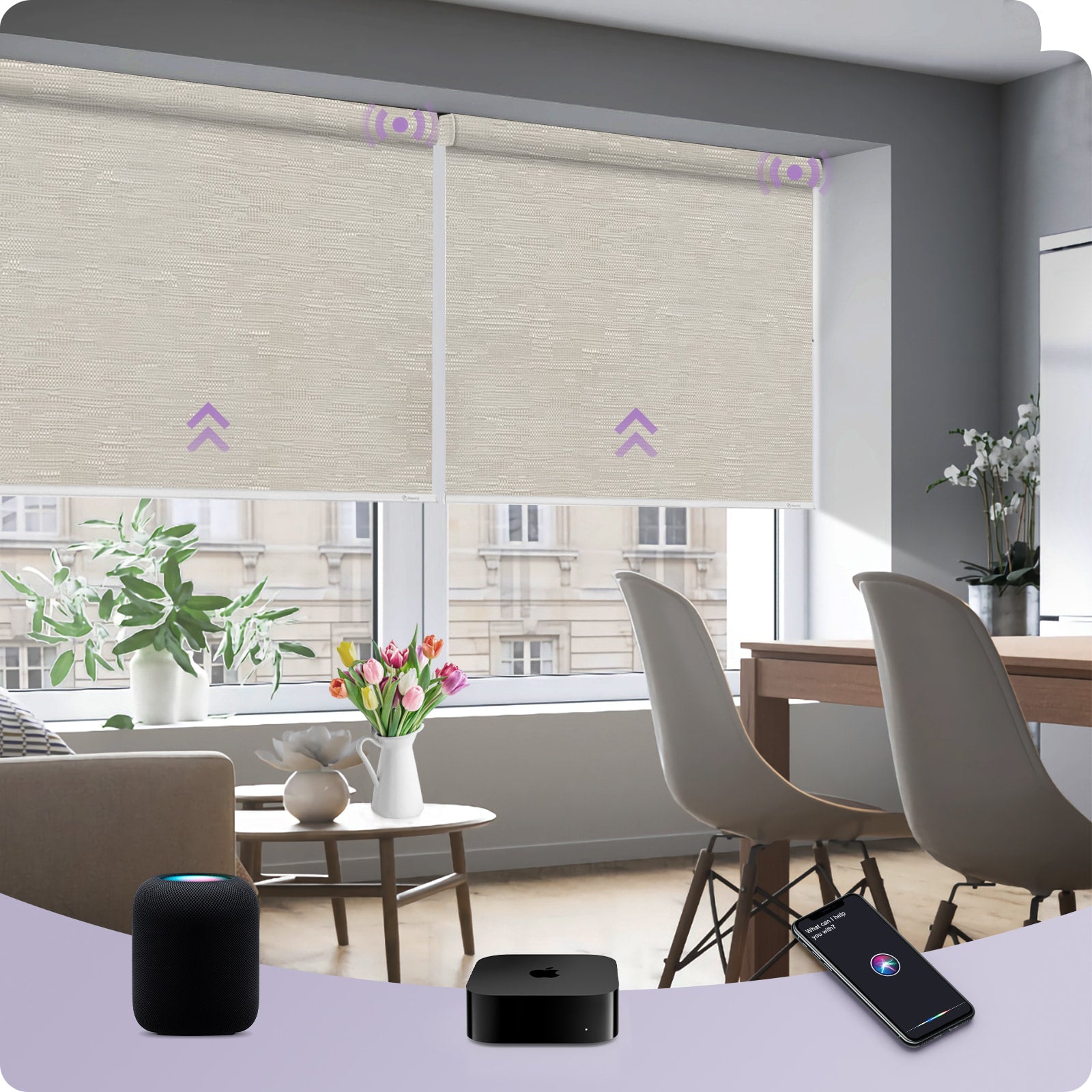 Graywind Smart EVE-HomeKit Motorized Roller Shades
