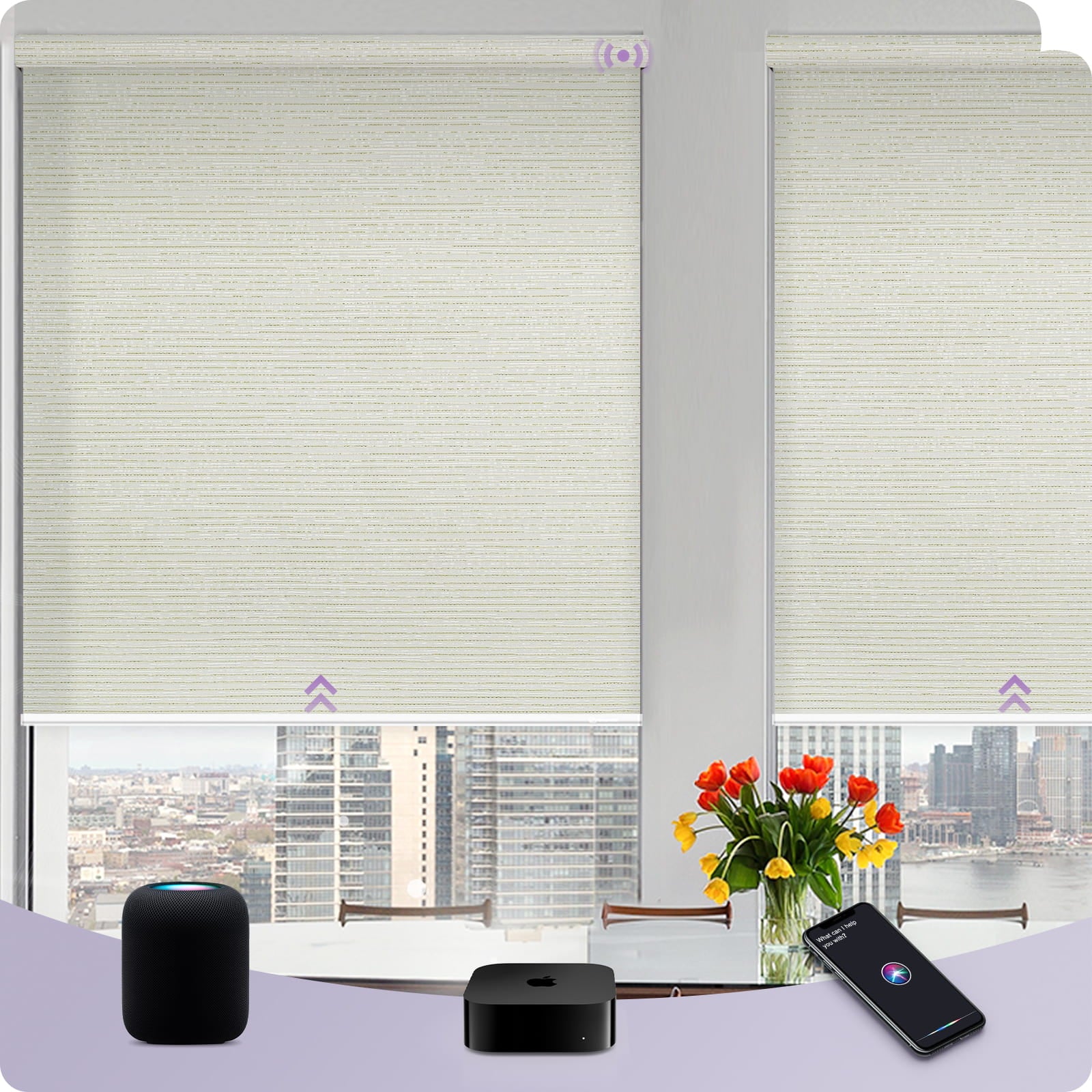 Graywind Smart EVE-HomeKit Motorized Roller Shades