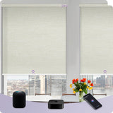Graywind Smart EVE-HomeKit Motorized Roller Shades