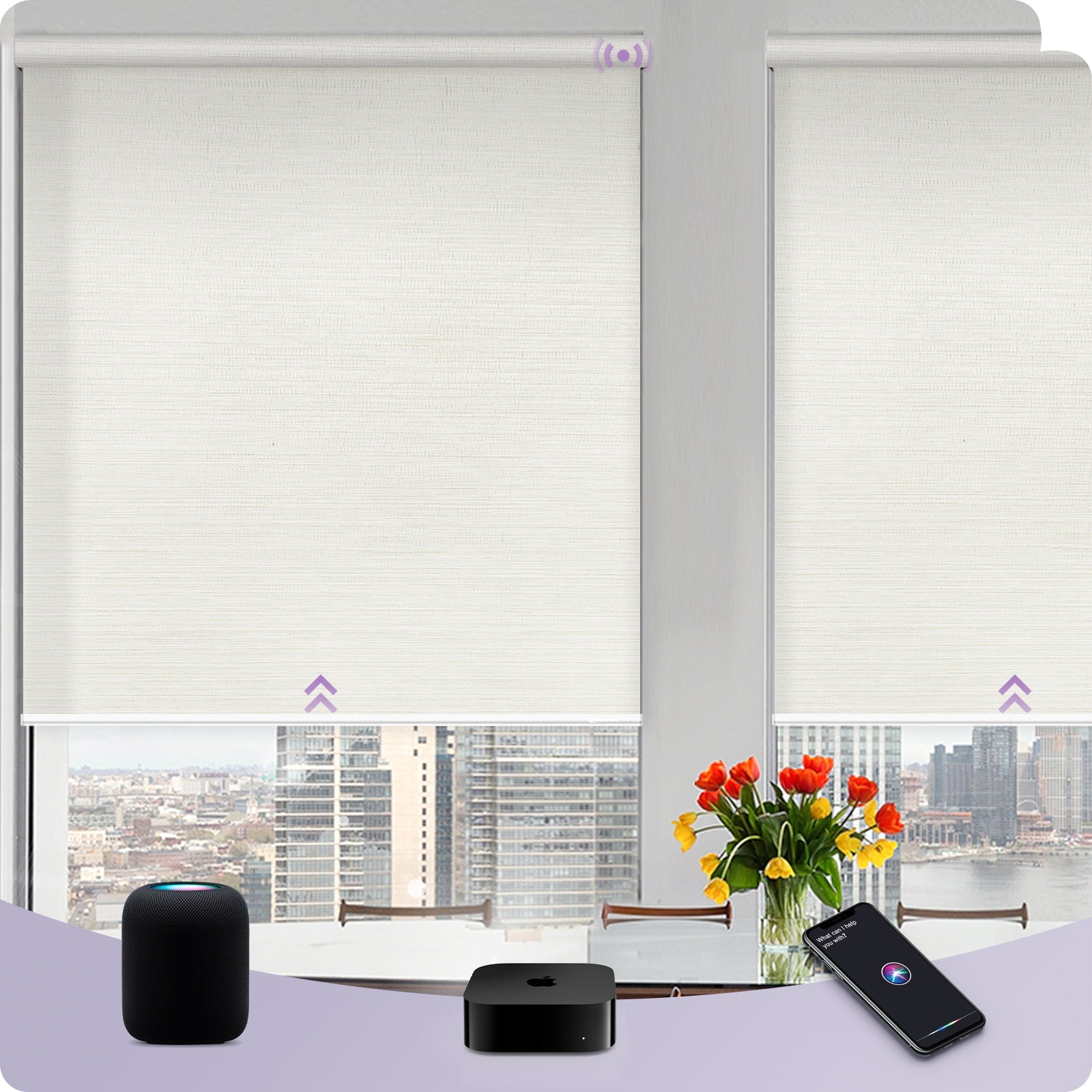 Graywind Smart EVE-HomeKit Motorized Roller Shades