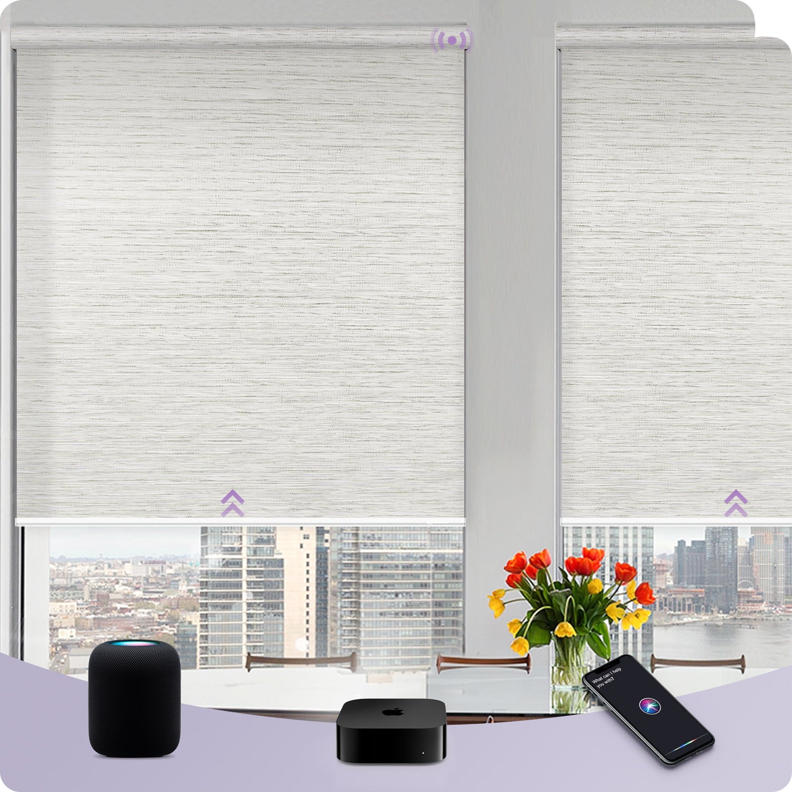 Graywind Smart EVE-HomeKit Motorized Roller Shades