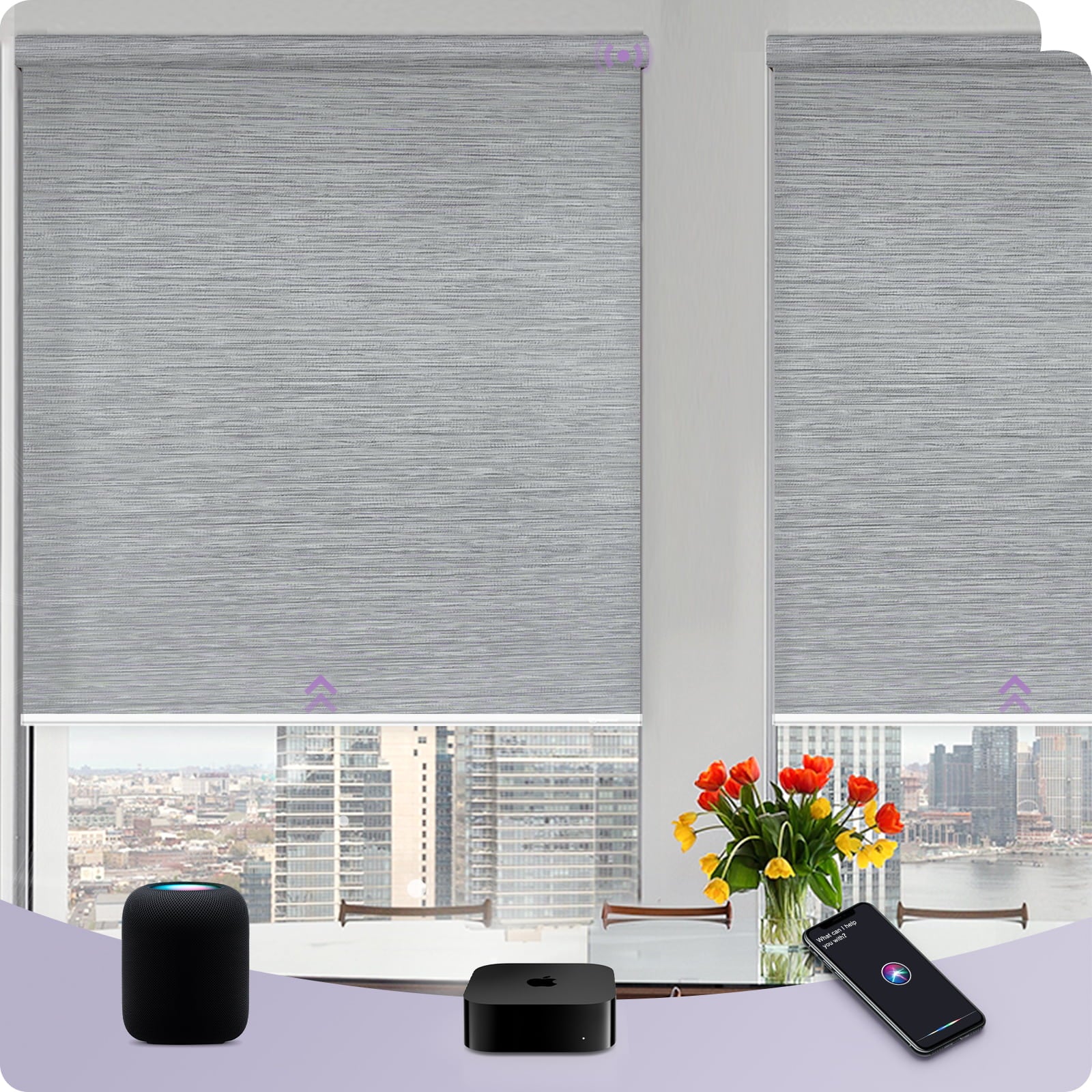 Graywind Smart EVE-HomeKit Motorized Roller Shades