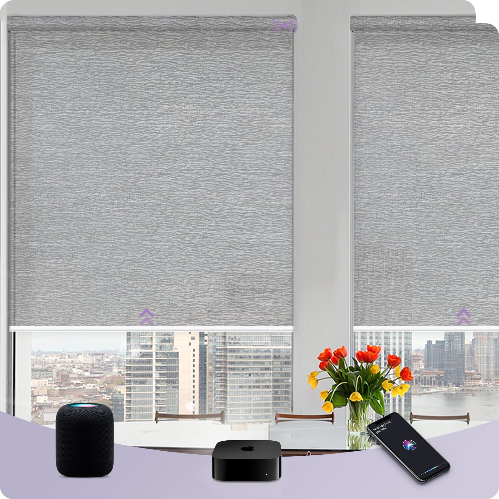 Graywind Smart EVE-HomeKit Motorized Roller Shades
