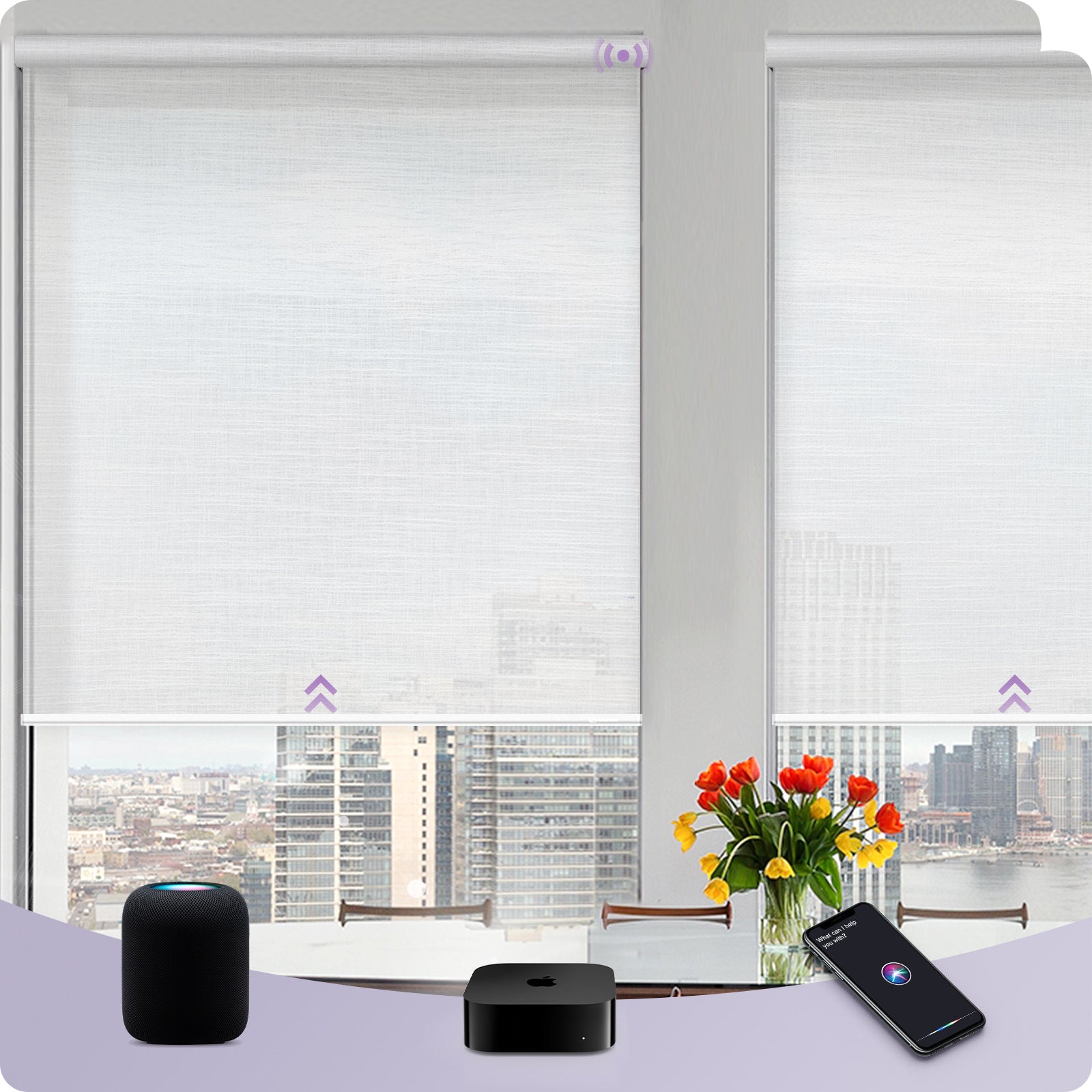 Graywind Smart EVE-HomeKit Motorized Roller Shades