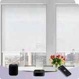 Graywind Smart EVE-HomeKit Motorized Roller Shades