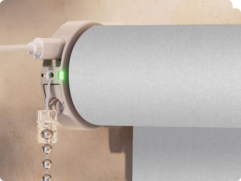 Details of Eve Motor.