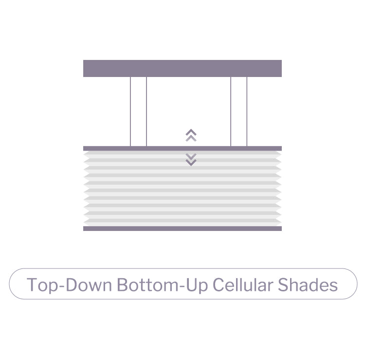 Top down bottom up cellular shades icon