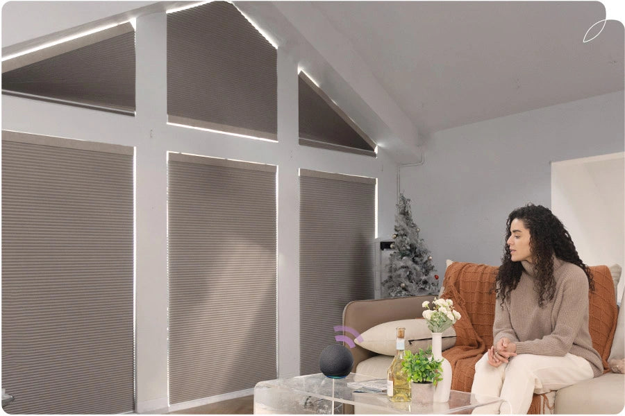 Woman sitting on a couch in a living room with shaped window blinds