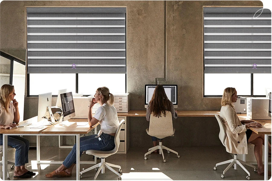 Office with zebra blinds.