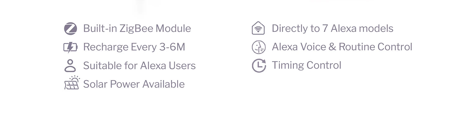 Alexa motor functions