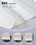 Graywind Motorized Zebra Sheer Blinds | Classic Series | Customizable