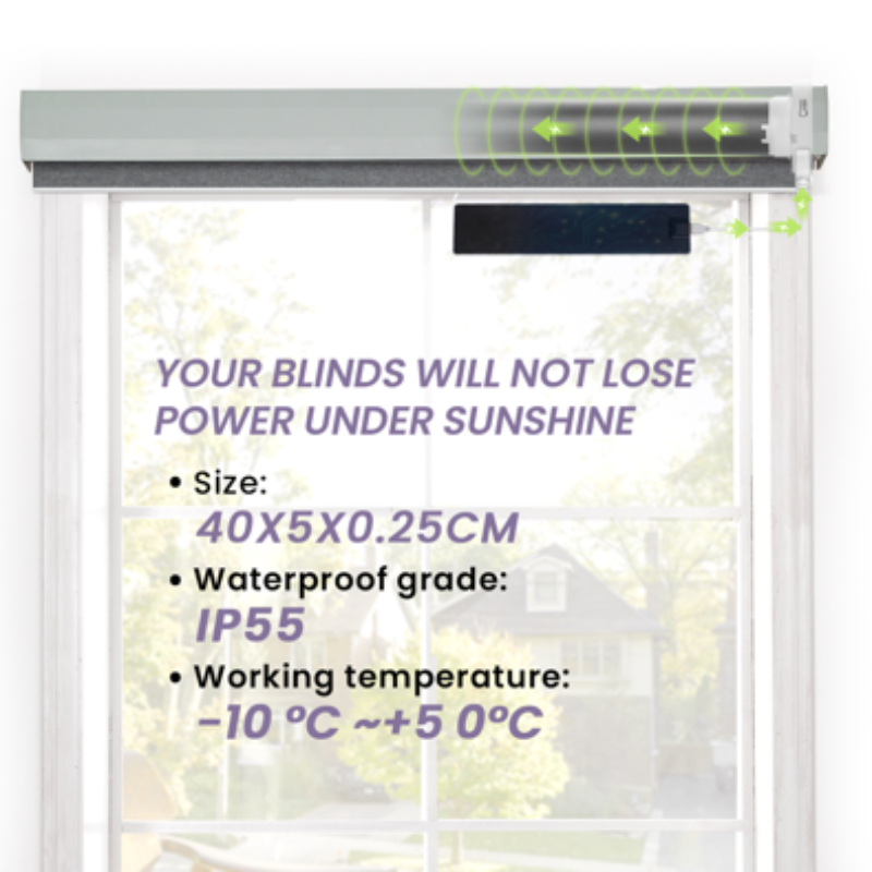 Graywind Electric Light Filtering Roller Shades | Silky Series | Customizable